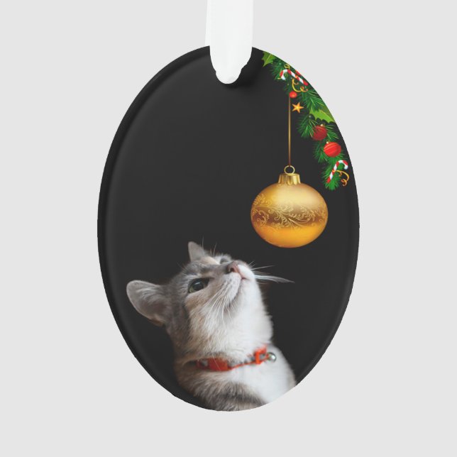 Gereiztes Miezekatzekatze Weihnachten Ornament (Rückseite)