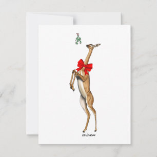 Gerenuk - carte de vacances