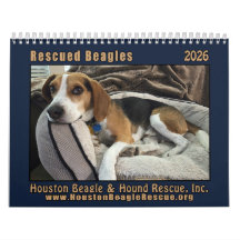Gerettete Beagles 2026 Wandkalender