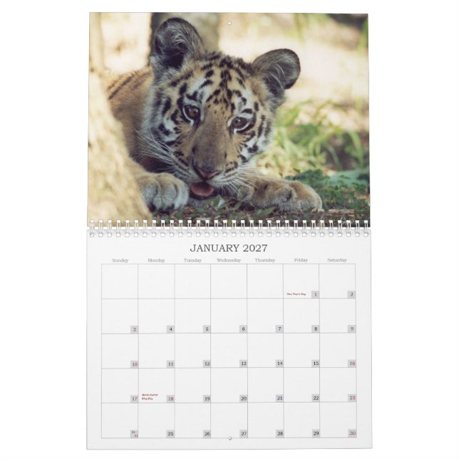 Geretteter Tier-Kalender Kalender (Jan 2027)
