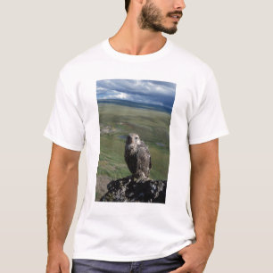 Gerfalke, Falco rusticolus, Jungtier T-Shirt