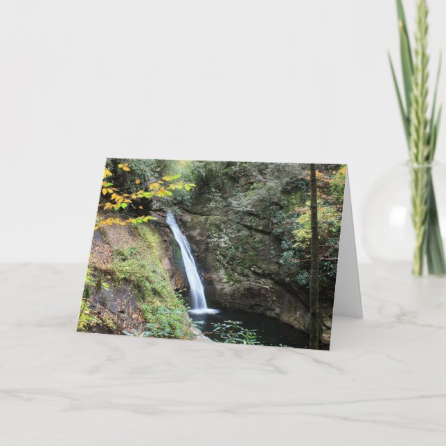 Gericht-Fälle Karte (Vorderseite)