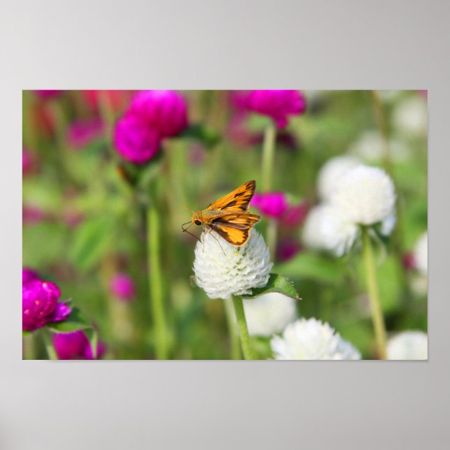 Geringe Feedbacks 1 Poster (Vorne)