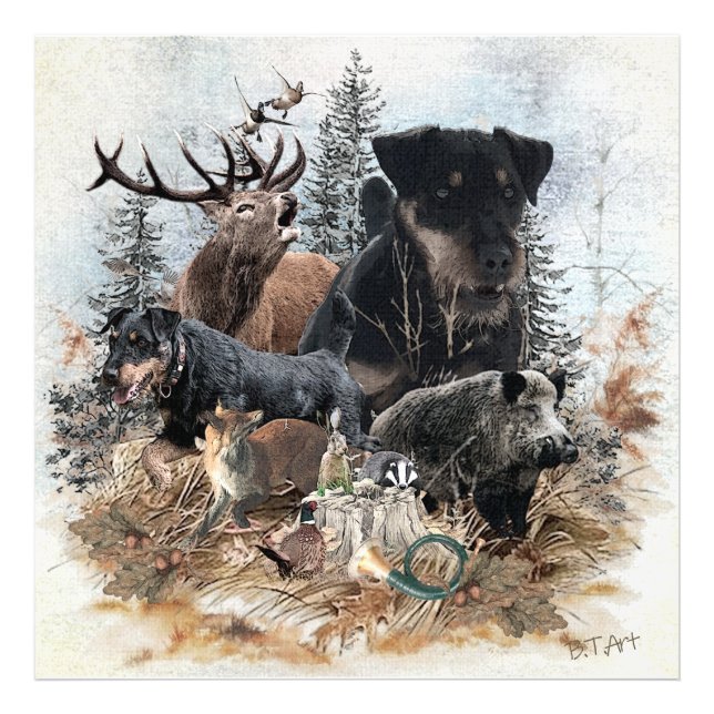 German Hunting Terrier (Jagdterre) Fotodruck (Vorne)