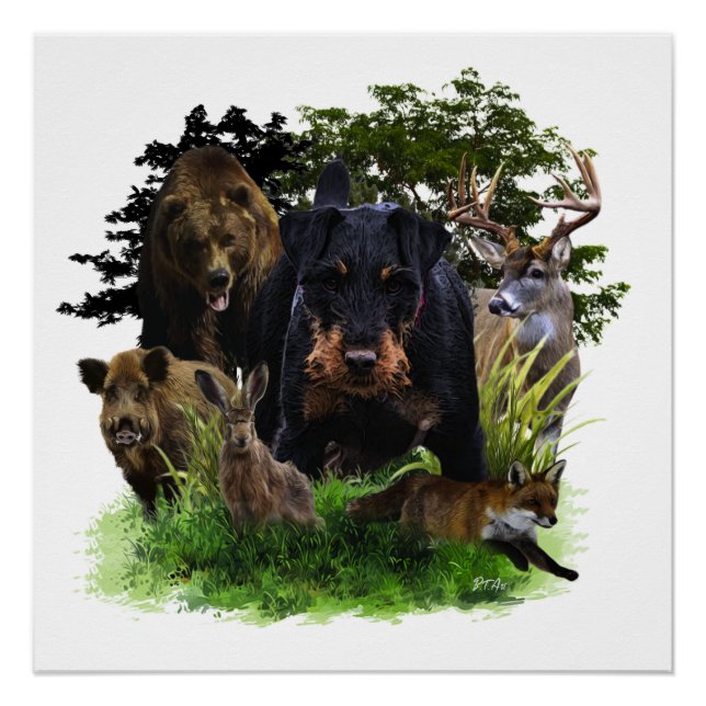 German Hunting Terrier (Jagdterre) Poster (Vorderseite)