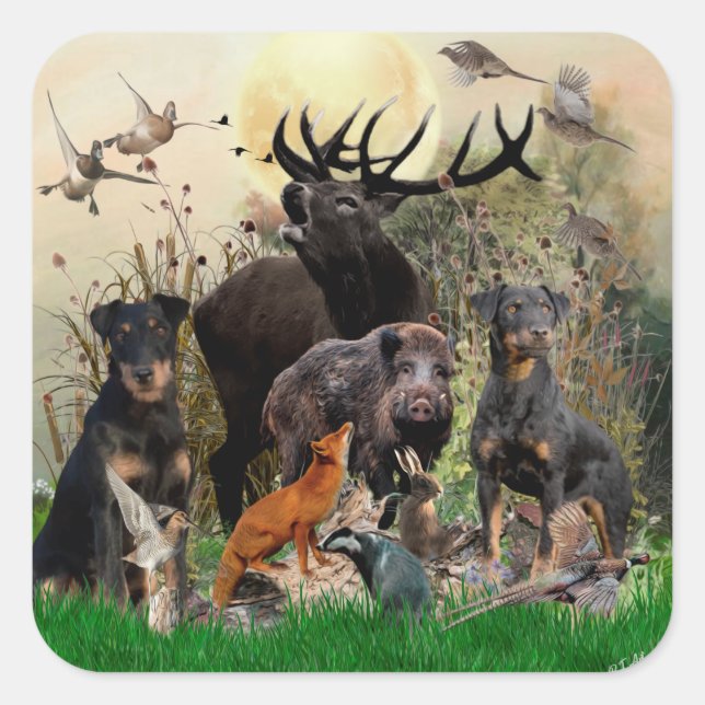 German Hunting Terrier (Jagdterre) Quadratischer Aufkleber (Vorderseite)