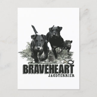 German Hunting Terrier, The Jagdterrier, Art Postkarte
