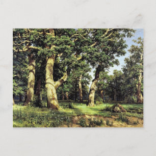 German Oaks Abend von Schischkin Iwan Iwanowitsch Postkarte