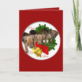 German Pinscher Christmas Geschenke Feiertagskarte