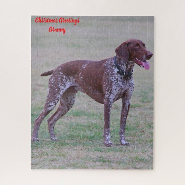 German Pointer (Vertikal)