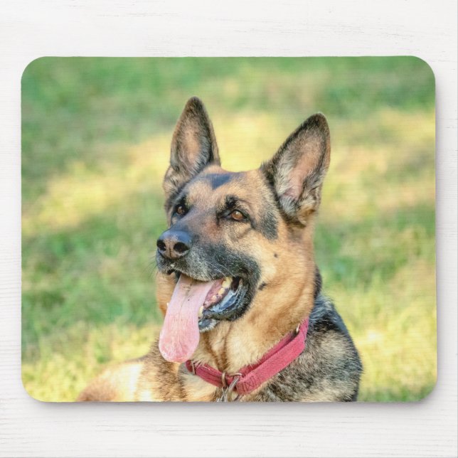German Shepard Mousepad (Vorne)