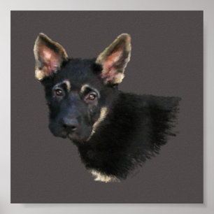German Shepard Puppy Poster