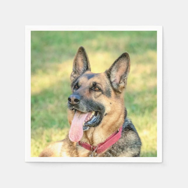 German Shepard Serviette (Vorderseite)