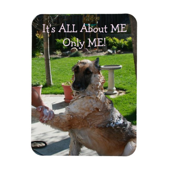 German Shepherd All About Me Magnet (Vertikal)