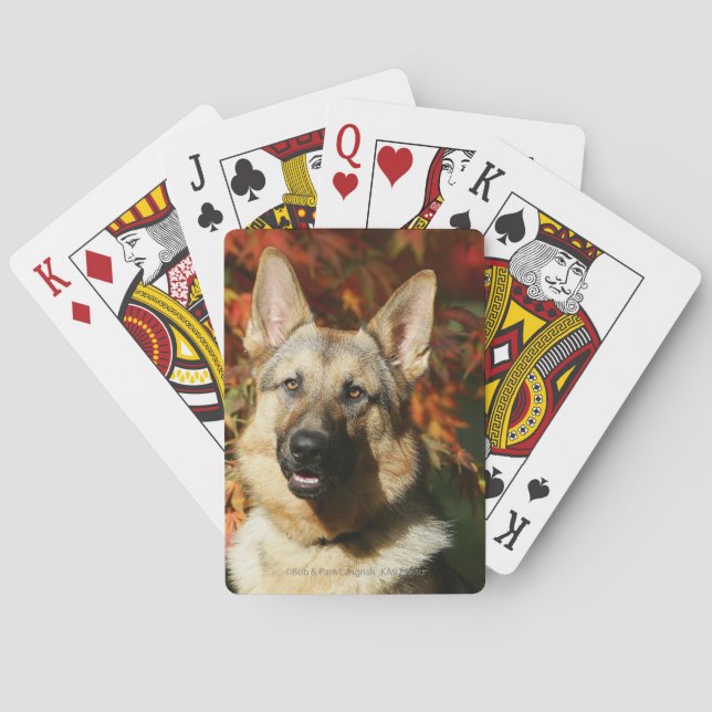 German Shepherd Autumn Leaves Spielkarten (Rückseite)