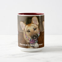 German Shepherd Black Tan bedingungsloses Muster