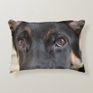 German Shepherd by Shirley Taylor Zierkissen