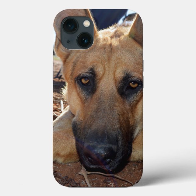 German Shepherd Cat Nickerchen, iPhone 13 Fall Case-Mate iPhone Hülle (Rückseite)