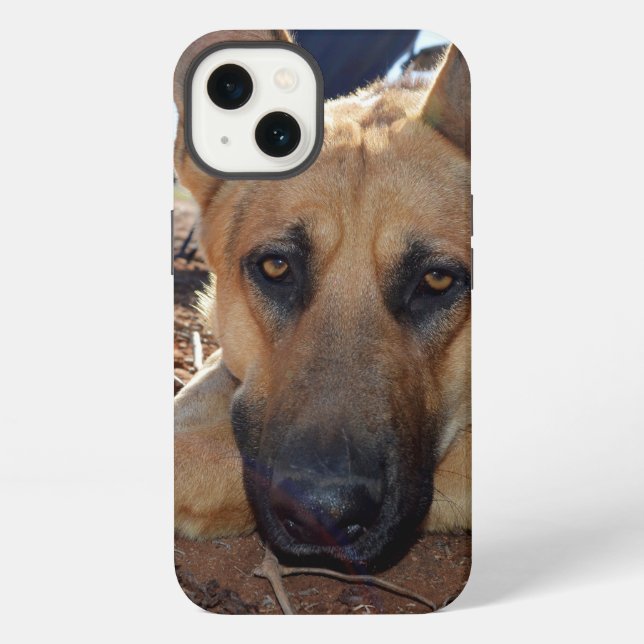 German Shepherd Cat Nickerchen, iPhone 13 Fall Hülle (Rückseite)