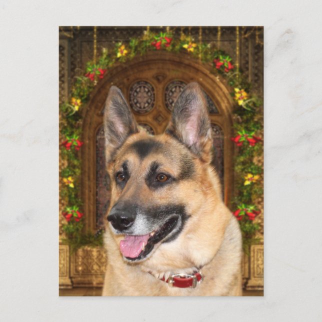 German Shepherd Christmas Feiertagspostkarte (Vorderseite)