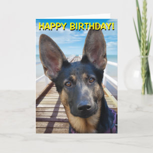 German Shepherd customizable greetings card Karte