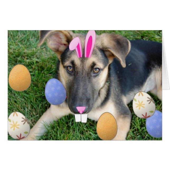 German Shepherd Easter Puppy (Vorderseite (Horizontal))