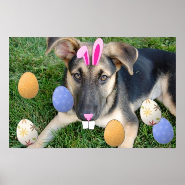 German Shepherd Easter Puppy Poster (Vorne)