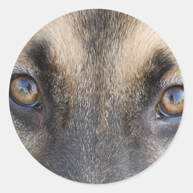 German Shepherd Eyes Runder Aufkleber (Vorderseite)