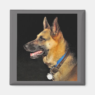 German Shepherd Magnet