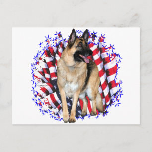 German Shepherd Patriot Postkarte
