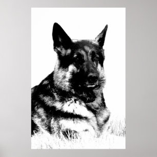 German shepherd poster