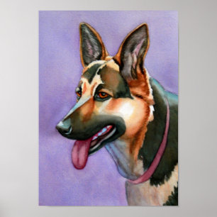 German Shepherd Poster