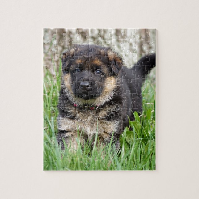German Shepherd Puppy (Vertikal)