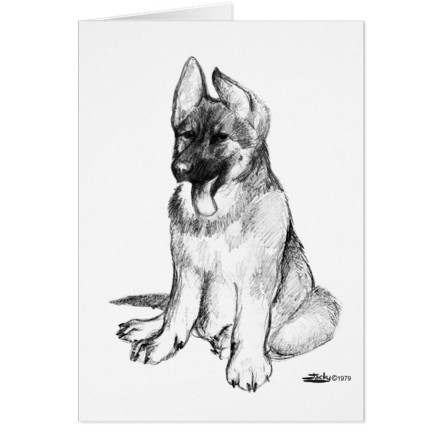 German Shepherd Puppy (Vorne)