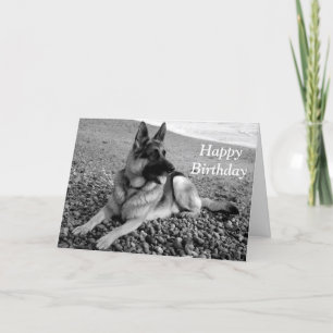 German Shepherd  Puppy Dog  Happy Birthday Card Karte