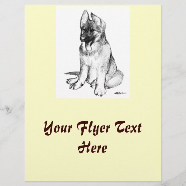 German Shepherd Puppy Flyer (Vorne)