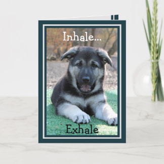 German Shepherd Puppy Funny Birthday Card Karte