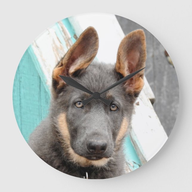 German Shepherd Puppy Große Wanduhr (Vorderseite)