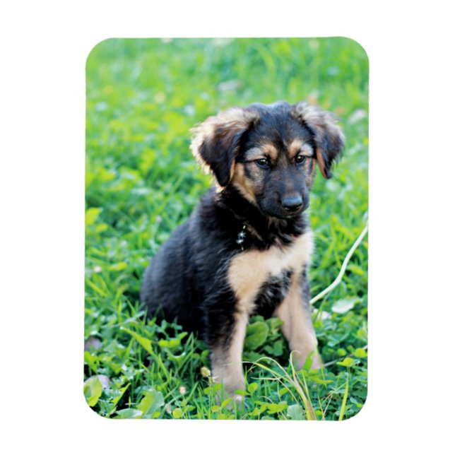 German Shepherd Puppy Magnet (Vertikal)