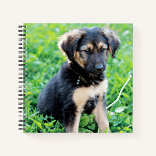German Shepherd Puppy Notizbuch