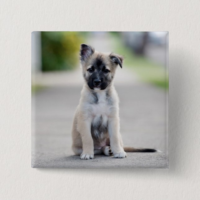 German Shepherd Puppy on Footpath Button (Vorderseite)