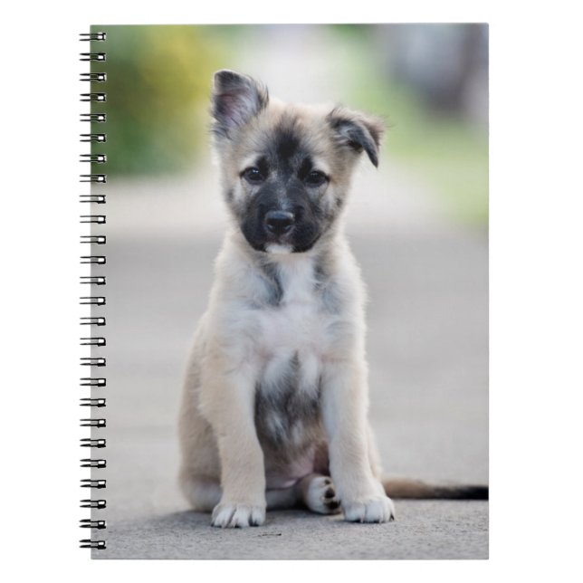 German Shepherd Puppy on Footpath Notizblock (Vorderseite)