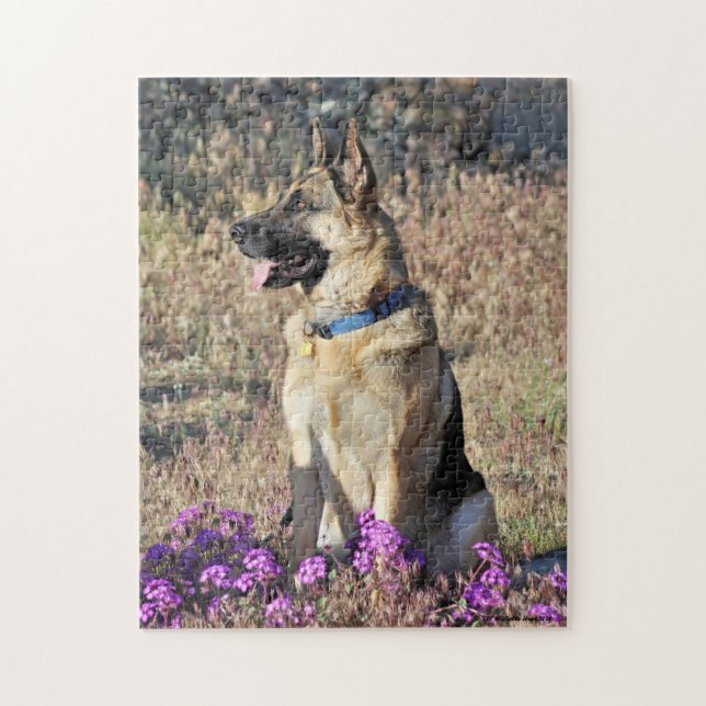 German Shepherd Rescue Dog With Flowers (Vertikal)