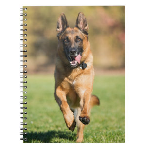 German Shepherd Running Notizblock