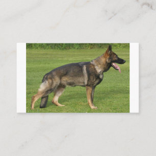 German Shepherd Sable Full Visitenkarte