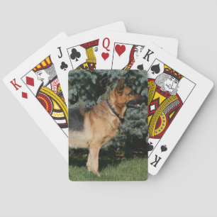 German Shepherd Show Stand Spielkarten