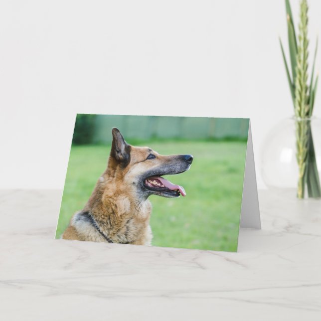 German Shepherd Side Portrait Karte (Vorderseite)