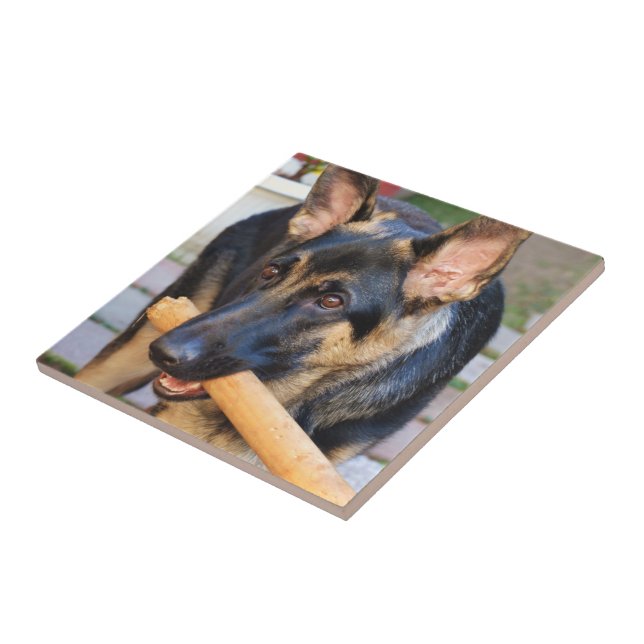 German Shepherd von Shirley Taylor Fliese (Seite)