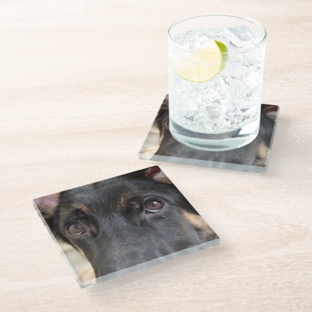 German Shepherd von Shirley Taylor Glasuntersetzer (Schrägansicht)