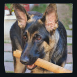 German Shepherd von Shirley Taylor Kopftuch<br><div class="desc">Deutsche Schäferbandana. Klicken Sie auf die Schaltfläche Anpassen,  um Ihren Text hinzuzufügen. Bilder können gedreht oder neu formatiert werden.</div>